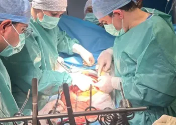 Tunisie : Une greffe de foie réussie sur un enfant de 8 ans à l’hôpital Fattouma Bourguiba