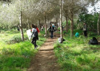 Propret&eacute; solidaire en for&ecirc;t de Gammarth : Quand les Suisses donnent l'exemple !