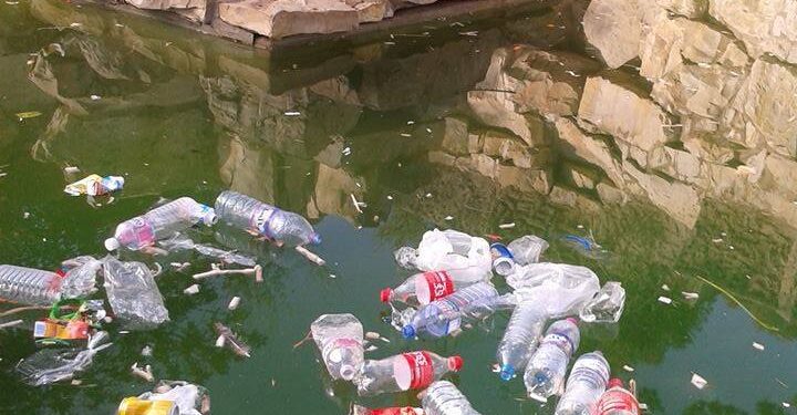 Une p&eacute;tition au pr&eacute;sident de la R&eacute;publique pour r&eacute;am&eacute;nager le parc du Belv&eacute;d&egrave;re