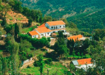 Un groupe armé a ouvert le feu sur des garde-forestiers à Ain Draham