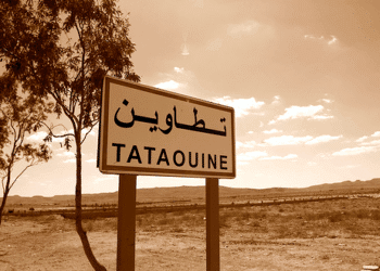 150 cas de leishmaniose cutan&eacute;e recens&eacute;s depuis le d&eacute;but de l&rsquo;ann&eacute;e &agrave; Tataouine