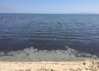Tunisie - Pollution : Demain, manifestation sur toute la bande c&ocirc;ti&egrave;re de la banlieue sud
