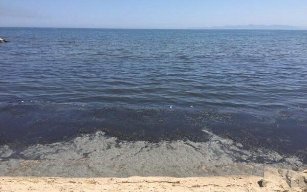 Tunisie - Pollution : Demain, manifestation sur toute la bande c&ocirc;ti&egrave;re de la banlieue sud