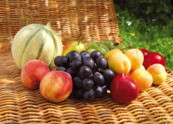 29 mai : Quand l'été frappe à nos portes