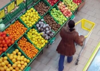 Min. du Commerce : Un programme urgent pour contr&ocirc;ler le secteur des fruits et l&eacute;gumes