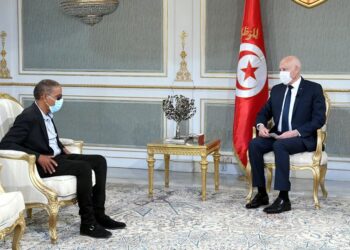 Kais Saied : &laquo; La r&eacute;volution des Tunisiens a &eacute;t&eacute; confisqu&eacute;e &raquo;