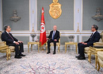 Kaïs Saïed : la Tunisie n’est pas un jardin