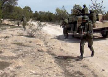 Kasserine : Arrestation d'un jeune ayant fourni de la nourriture à des terroristes