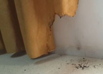 Siliana : Le lyc&eacute;e Mongi Slim, cible d'une tentative d'incendie