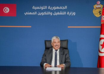 Riadh Chaoued, ministre de l’Emploi et de la Formation professionnelle - Page fb M. Emploi