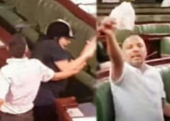 Agression de Moussi : Smara et Makhlouf priv&eacute;s de parole &agrave; l'ARP