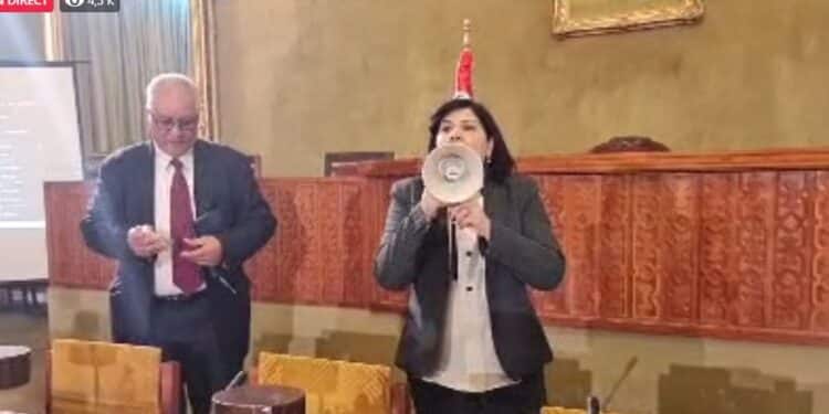 Abdelkarim Harouni veut lever l'immunit&eacute; parlementaire d'Abir Moussi