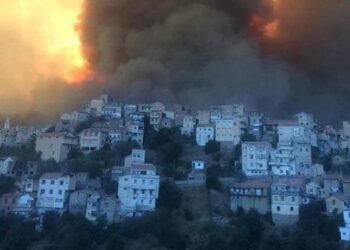 Un bilan de 65 morts dans les incendies qui ravagent l'Algérie