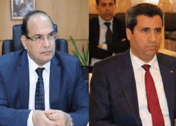 Chawki Tabib et Anouar Maarouf saisissent le Haut-Commissariat de l&rsquo;ONU aux droits de l'homme
