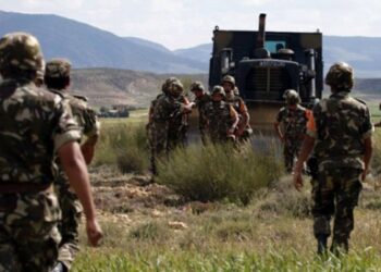 Tunisie : 877 op&eacute;rations militaires ont &eacute;t&eacute; men&eacute;es depuis le 1er janvier 2018