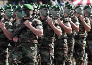 Large opération antiterroriste en Algérie