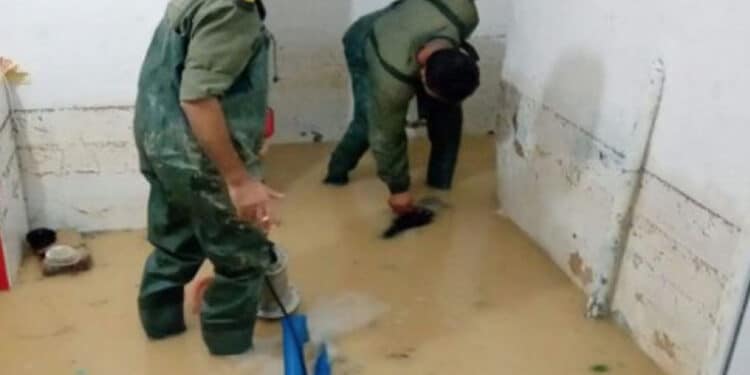 Inondations à l'Ariana : L'Armée nationale à la rescousse