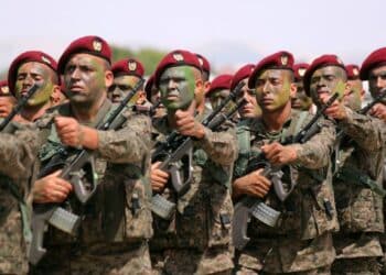 L'Armée tunisienne célèbre son 69e anniversaire