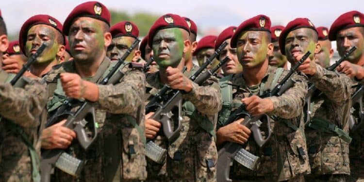 L'Armée tunisienne célèbre son 69e anniversaire