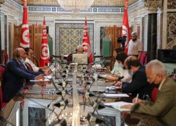 Des d&eacute;put&eacute;s europ&eacute;ens appellent &agrave; renforcer le partenariat Tunisie-UE
