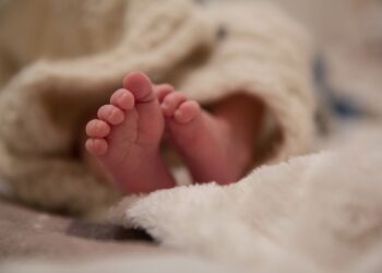 Nabeul : Huit personnes arr&ecirc;t&eacute;es pour trafic de b&eacute;b&eacute;s !