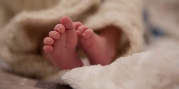 Nabeul : Huit personnes arr&ecirc;t&eacute;es pour trafic de b&eacute;b&eacute;s !
