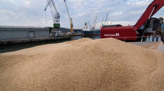 La Tunisie importe 150 mille tonnes de c&eacute;r&eacute;ales