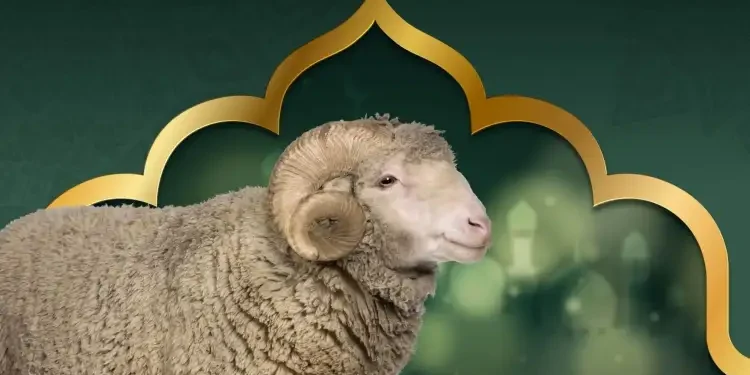 Tunis : Interdiction stricte du sacrifice des moutons dans les appartements