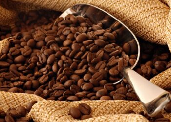 Tunisie - Office du commerce : 7 mille tonnes de café disponibles !