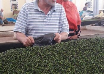 Marché central : Au bonheur des câpres !