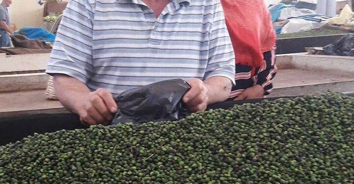 Marché central : Au bonheur des câpres !