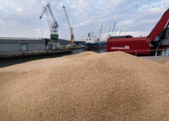 Inquiétant : La balance commerciale alimentaire déficitaire de 801,4 MD