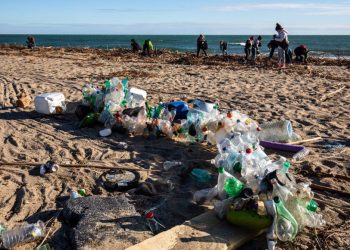Beach clean, une campagne pour réduire les déchets marins