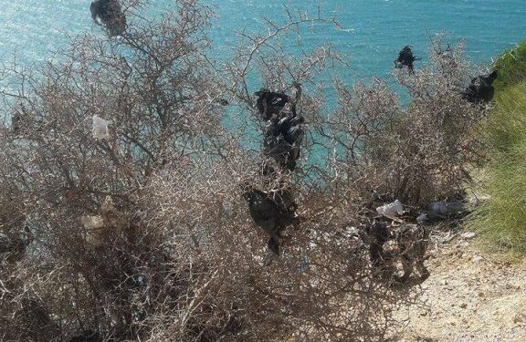 Scandaleux : La plus belle vue sur le golfe de Tunis polluée par des détritus