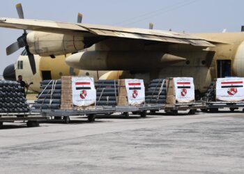 Tunisie : Arrivée de 3 avions militaires égyptiens chargés d'aides médicales