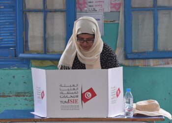 Législatives : Taux de participation de 23,5% à 15H00