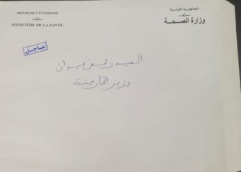 Tunisie : La version qui "blanchit" Hichem Mechichi