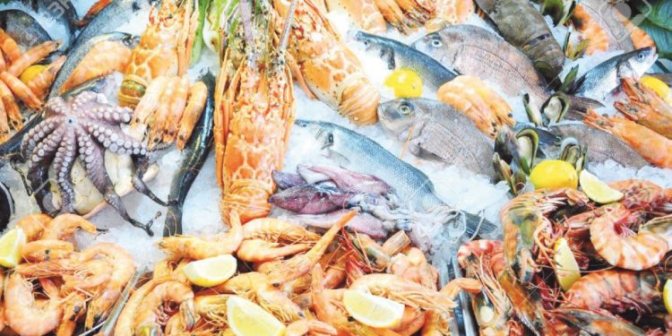 Fruits de mer et poissons : l’appétit vient en regardant !