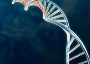 Une &eacute;quipe scientifique tunisienne fait une d&eacute;couverte g&eacute;n&eacute;tique impressionnante