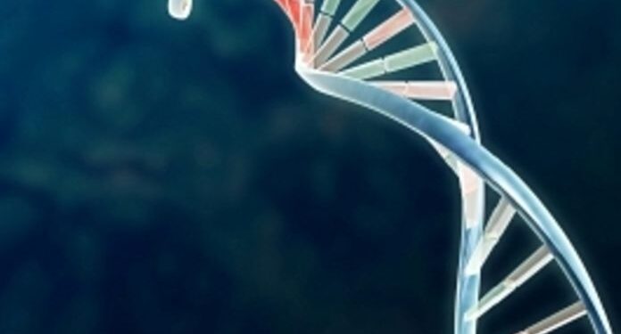 Une &eacute;quipe scientifique tunisienne fait une d&eacute;couverte g&eacute;n&eacute;tique impressionnante