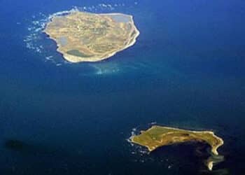 Tunisie : 32 kg de coca&iuml;ne d'une valeur de 22 MD d&eacute;couverts sur l'&icirc;le de Kuriate