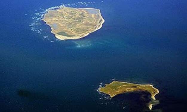 Tunisie : 32 kg de coca&iuml;ne d'une valeur de 22 MD d&eacute;couverts sur l'&icirc;le de Kuriate