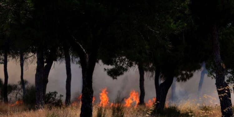 Tunisie : 112 incendies maîtrisés en 24 heures