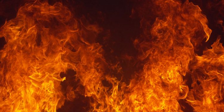 Bizerte : Nouvel incendie dans la forêt de Bchater