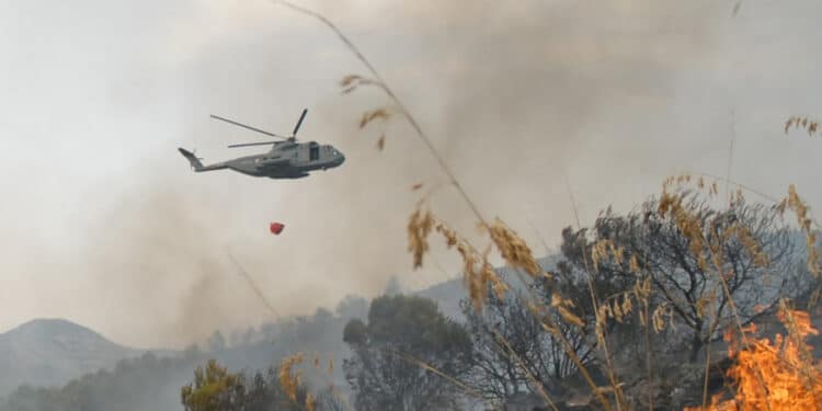 Tunisie : L'armée de l'air vole au secours des forêts en feu