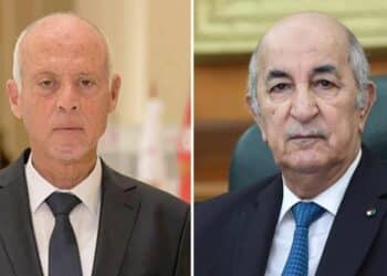 Incendies : Kais Saied propose l'envoi d'un avion pour aider l'Algérie