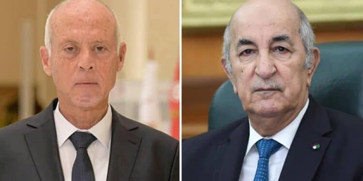 Incendies : Kais Saied propose l'envoi d'un avion pour aider l'Algérie