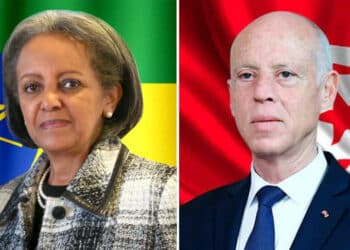 En pleine crise sanitaire, Kais Saied se penche sur le conflit du barrage &eacute;thiopien