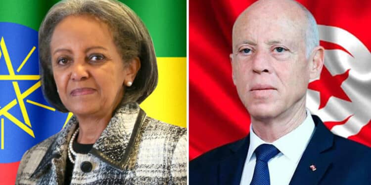 En pleine crise sanitaire, Kais Saied se penche sur le conflit du barrage &eacute;thiopien