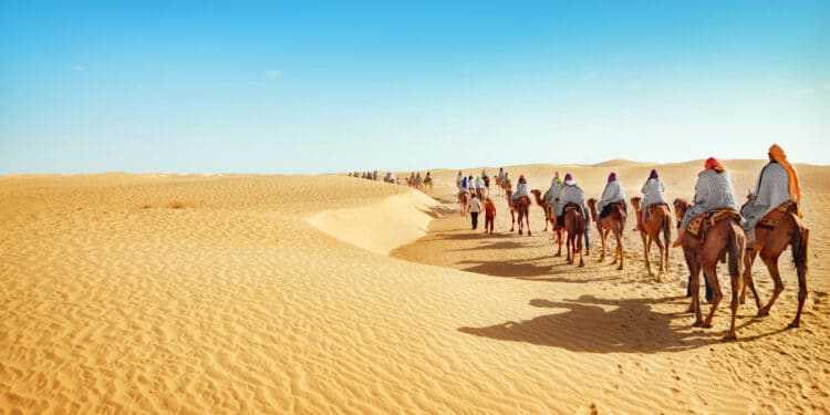 Tunisie : Nette augmentation du nombre des touristes &agrave; K&eacute;bili